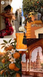 safanad parfums de marly